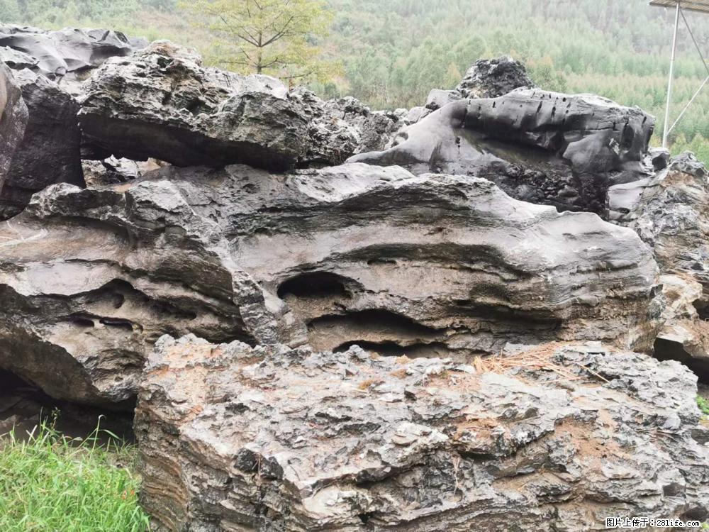 风景石、假山石大量有货，有需要的欢迎联系 - 新手上路 - 连云港生活社区 - 连云港28生活网 lyg.28life.net