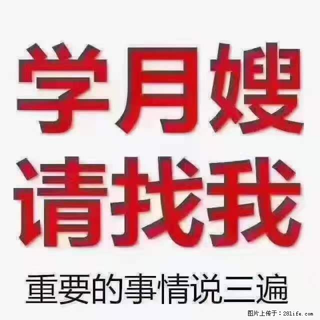 为什么要学习月嫂，育婴师？ - 新手上路 - 连云港生活社区 - 连云港28生活网 lyg.28life.net