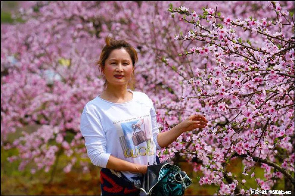 【春天，广西桂林灌阳县向您发出邀请！】官庄村有个醉美的桃花园 - 游山玩水 - 连云港生活社区 - 连云港28生活网 lyg.28life.net