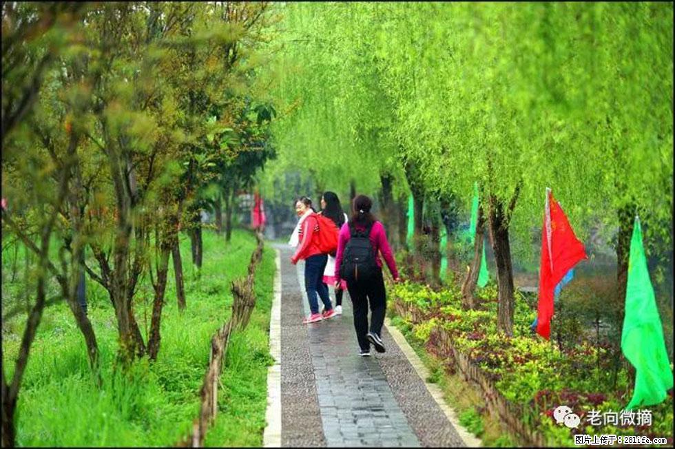 【春天，广西桂林灌阳县向您发出邀请！】江口老街又逢春 - 游山玩水 - 连云港生活社区 - 连云港28生活网 lyg.28life.net