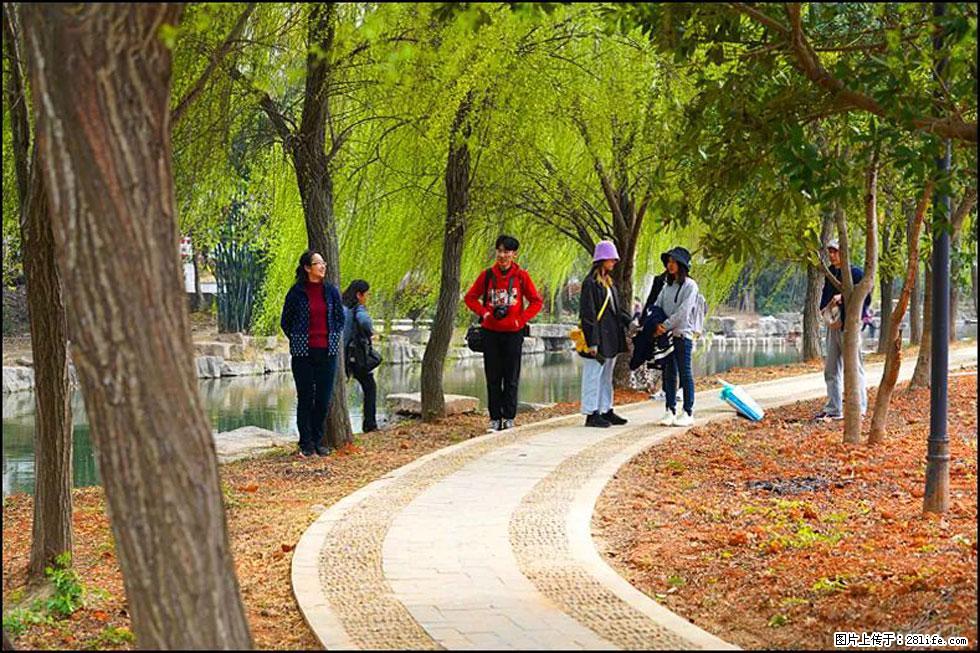 【春天，广西桂林灌阳县向您发出邀请！】江口老街又逢春 - 游山玩水 - 连云港生活社区 - 连云港28生活网 lyg.28life.net