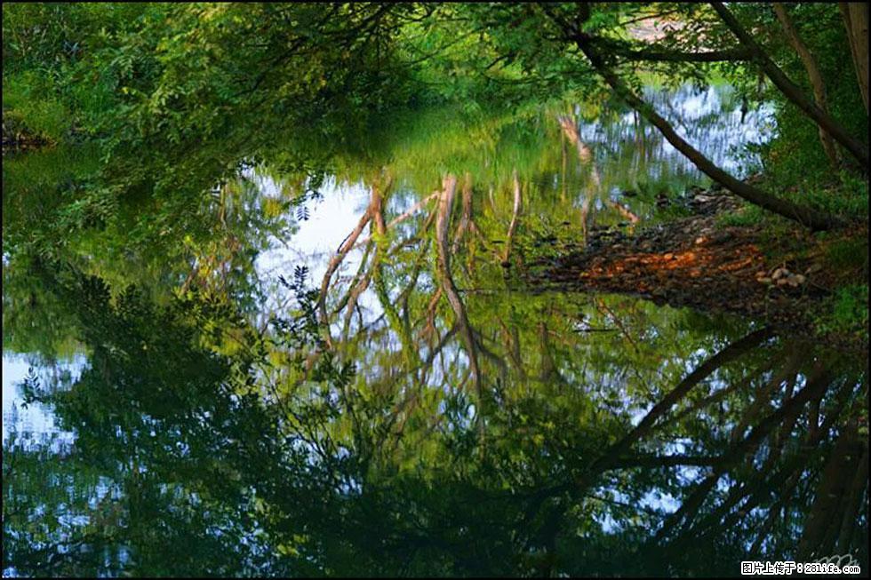 【春天，广西桂林灌阳县向您发出邀请！】熊家寨湿地公园 - 游山玩水 - 连云港生活社区 - 连云港28生活网 lyg.28life.net