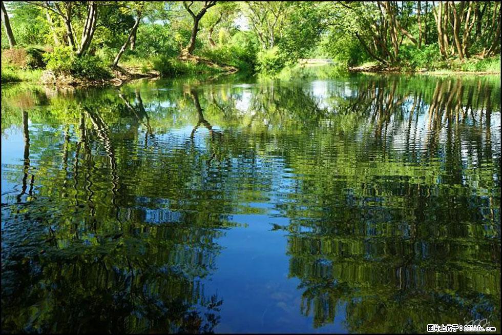 【春天，广西桂林灌阳县向您发出邀请！】熊家寨湿地公园 - 游山玩水 - 连云港生活社区 - 连云港28生活网 lyg.28life.net