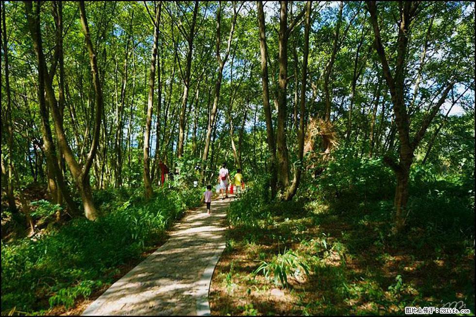 【春天，广西桂林灌阳县向您发出邀请！】熊家寨湿地公园 - 游山玩水 - 连云港生活社区 - 连云港28生活网 lyg.28life.net