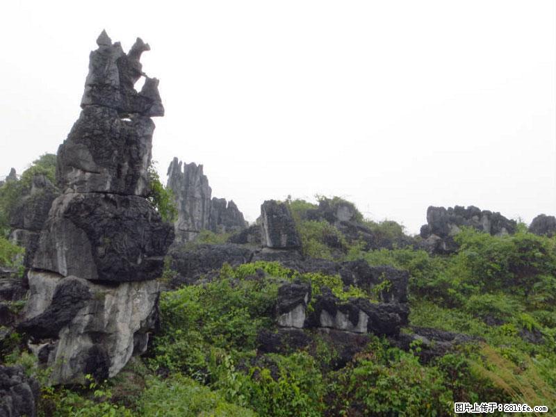 桂林旅游名城景点：灌阳文市石林 - 游山玩水 - 连云港生活社区 - 连云港28生活网 lyg.28life.net