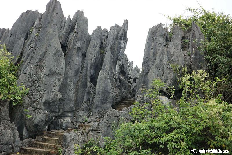 桂林旅游名城景点：灌阳文市石林 - 游山玩水 - 连云港生活社区 - 连云港28生活网 lyg.28life.net