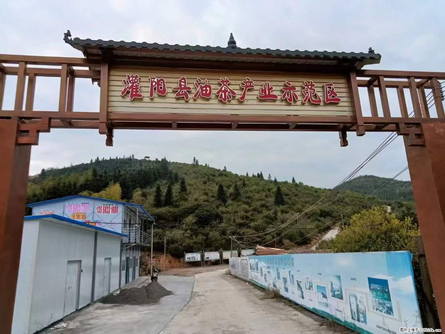 【灌阳县油茶产业示范区】一个有着充实的精神生活的人，对待身外之物自会有一种淡泊的态度 - 美食天地 - 连云港生活社区 - 连云港28生活网 lyg.28life.net