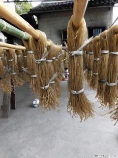 【灌阳正宗红薯粉】美女家里自己做的，干净卫生，假一赔十，价格合理，抢购电话：13737312895 - 连云港28生活网 lyg.28life.net