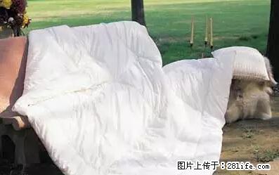 被子有异味？只要这样做，比晒太阳还强100倍！ - 家居生活 - 连云港生活社区 - 连云港28生活网 lyg.28life.net