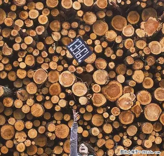 辞掉工作周游世界？现在他们在洗厕所…… - 游山玩水 - 连云港生活社区 - 连云港28生活网 lyg.28life.net