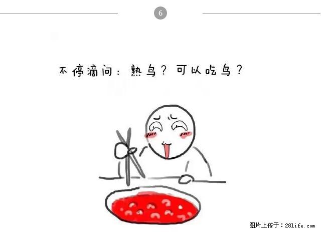 千万不要和这9种哈卵一起吃火锅！ - 美食天地 - 连云港生活社区 - 连云港28生活网 lyg.28life.net
