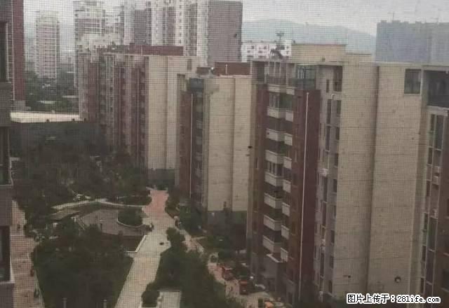 出租一品苑精装2室电梯房，家电家具齐全 - 房屋出租 - 房屋租售 - 连云港分类信息 - 连云港28生活网 lyg.28life.net