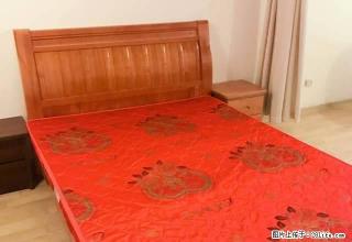 苍梧小区附近单身公寓招租 月租1500接受半年付押金2000 - 连云港28生活网 lyg.28life.net
