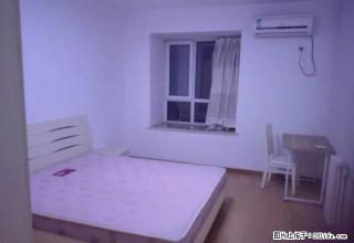 急租御景龙湾精装两室拎包即住 紫金公馆凤凰名都学校对面 - 连云港28生活网 lyg.28life.net