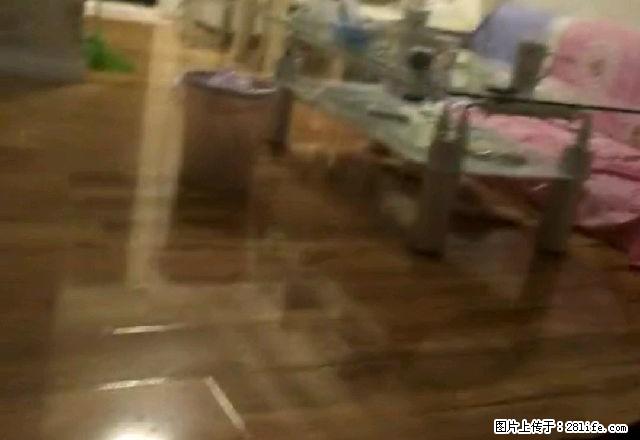 东新绿苑 精装修 市中心地段 邻近步行街 1100限时出租。 - 房屋出租 - 房屋租售 - 连云港分类信息 - 连云港28生活网 lyg.28life.net