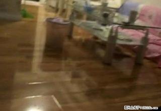 东新绿苑 精装修 市中心地段 邻近步行街 1100限时出租。 - 连云港28生活网 lyg.28life.net