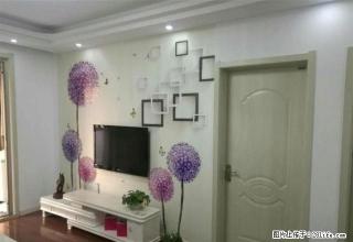 海州高j中学东校区旁书香壹号精装三室未住一次的新房家具家电全 - 连云港28生活网 lyg.28life.net