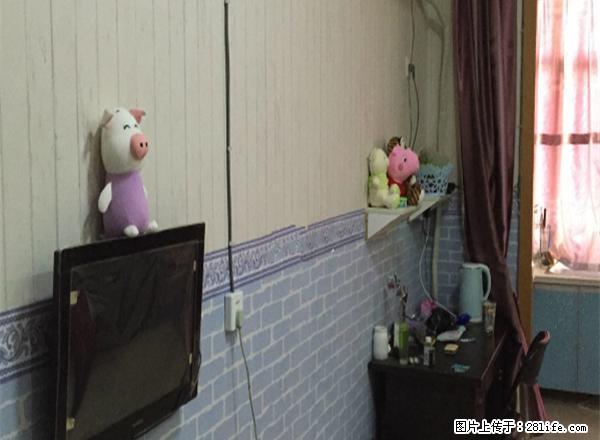 双盛花园精装修领包即住靠紫金公馆天顺国际君悦财富明珠皇冠 - 房屋出租 - 房屋租售 - 连云港分类信息 - 连云港28生活网 lyg.28life.net