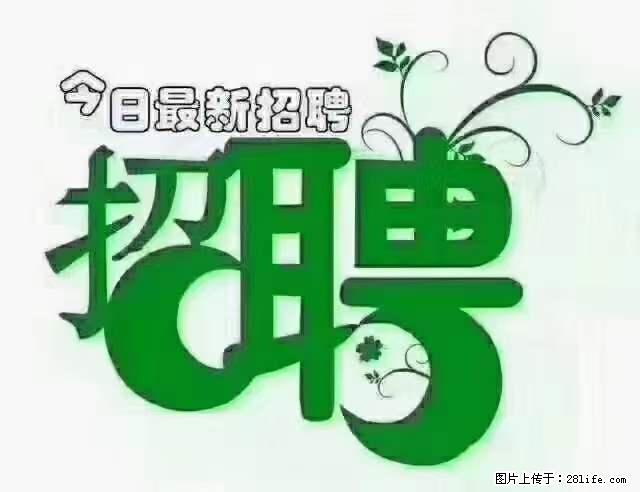 【招聘摄像师】待遇：试用期6000元/月，转正7000元/月+五险一金+餐补+节日福利+奖金 - 其他招聘信息 - 招聘求职 - 连云港分类信息 - 连云港28生活网 lyg.28life.net