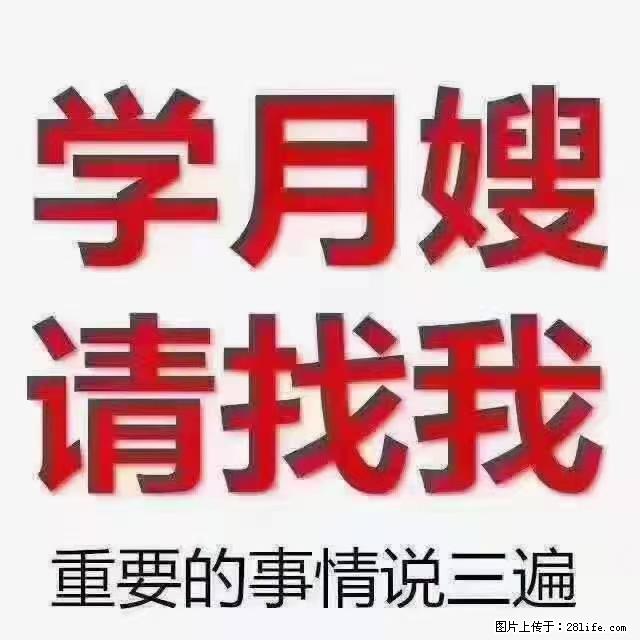 【招聘】月嫂，上海徐汇区 - 职场交流 - 连云港生活社区 - 连云港28生活网 lyg.28life.net