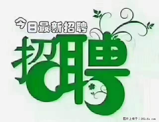 上海隔离酒店招人：55岁以下 男女不限 - 职场交流 - 连云港生活社区 - 连云港28生活网 lyg.28life.net