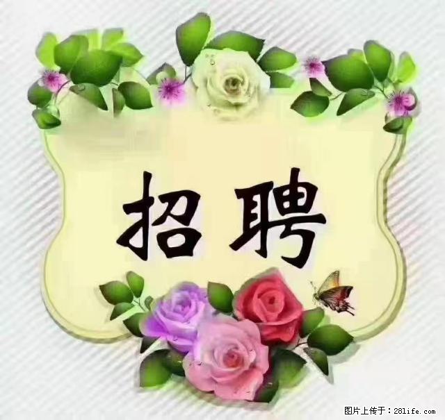 【招聘】住家育儿嫂，上户日期：4月4日，工作地址：上海 黄浦区 - 职场交流 - 连云港生活社区 - 连云港28生活网 lyg.28life.net