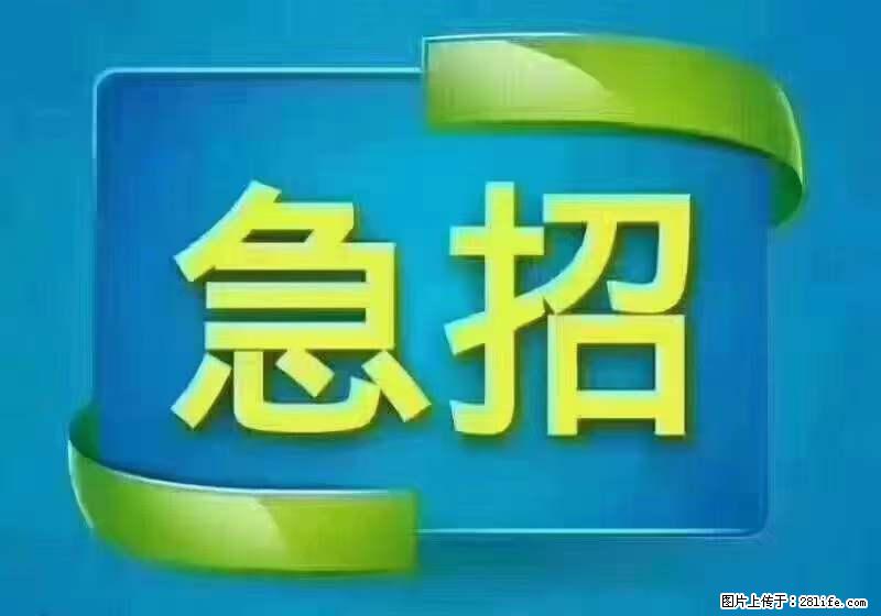 招出纳8000元/月，无证可以，要有相关经验，上海五险一金，包住，包工作餐，做六休一。 - 职场交流 - 连云港生活社区 - 连云港28生活网 lyg.28life.net