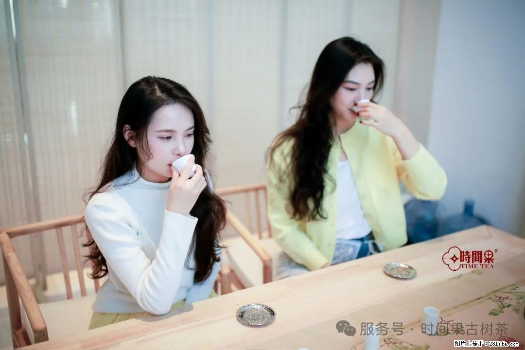 时间果百年古树龙珠普洱生茶 - 购物交流 - 连云港生活社区 - 连云港28生活网 lyg.28life.net