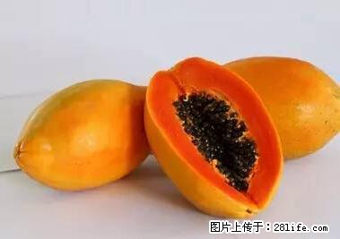 晕车、脚气、牙齿变黄、皮肤粗糙？学会这些三分钟搞定！ - 连云港生活资讯 - 连云港28生活网 lyg.28life.net