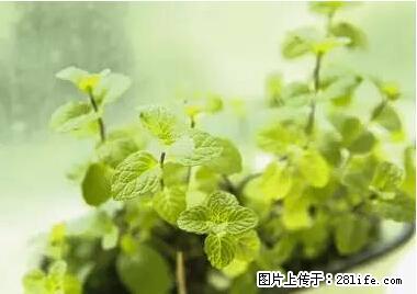 晕车、脚气、牙齿变黄、皮肤粗糙？学会这些三分钟搞定！ - 连云港生活资讯 - 连云港28生活网 lyg.28life.net