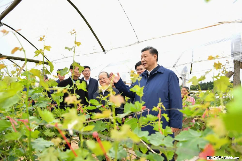 习近平赴广西考察调研 - 连云港生活资讯 - 连云港28生活网 lyg.28life.net