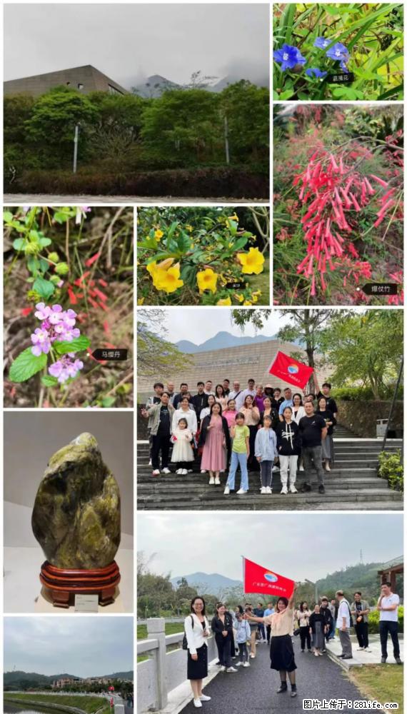“粤灌文化 美好生活”油茶文化主题活动在广东深圳成功举办 - 连云港生活资讯 - 连云港28生活网 lyg.28life.net