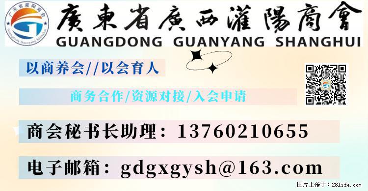 “粤灌文化 美好生活”油茶文化主题活动在广东深圳成功举办 - 连云港生活资讯 - 连云港28生活网 lyg.28life.net