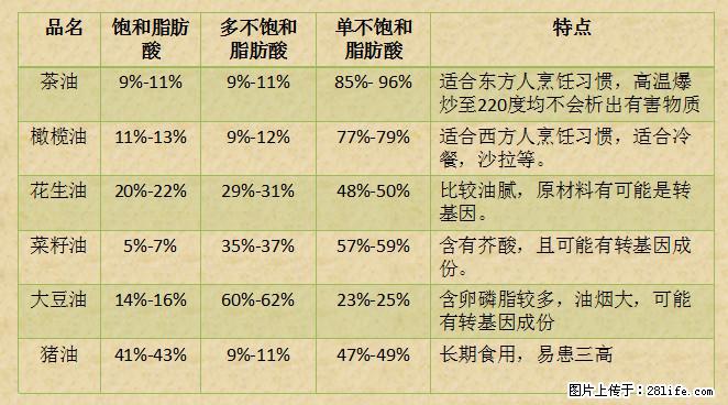 揭秘茶油的5大核心营养成分！被称为人体健康的“守护盾”！ - 连云港生活资讯 - 连云港28生活网 lyg.28life.net