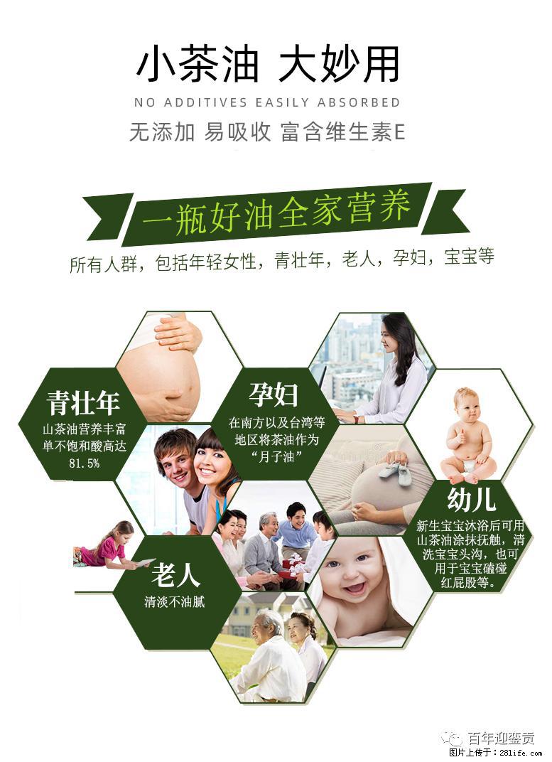 世界没有真相，只有认知，最好的食用油是中国的山茶油！ - 连云港生活资讯 - 连云港28生活网 lyg.28life.net