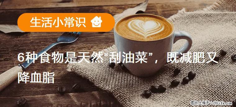【生活小常识】6种食物是天然“刮油菜”，既减肥又降血脂 - 连云港生活资讯 - 连云港28生活网 lyg.28life.net