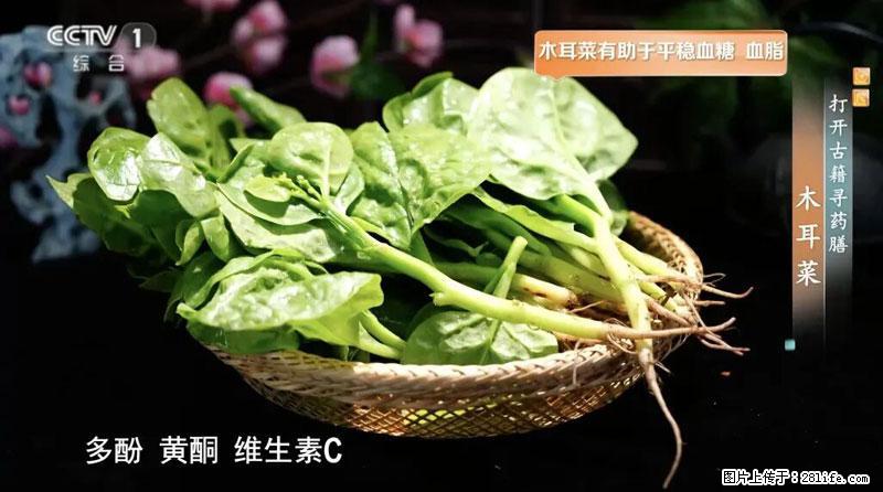 比牛奶补钙还厉害！凉血解毒、稳血糖...这菜冬天必吃，很多人却当草 - 连云港生活资讯 - 连云港28生活网 lyg.28life.net