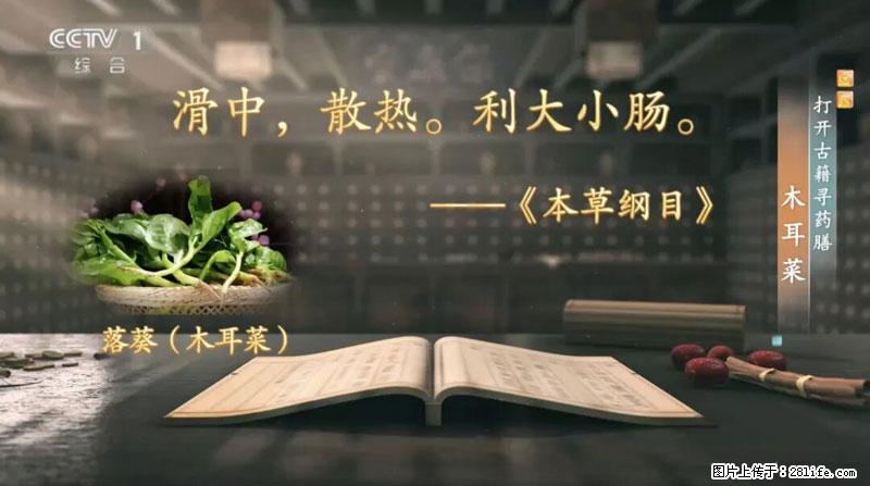 比牛奶补钙还厉害！凉血解毒、稳血糖...这菜冬天必吃，很多人却当草 - 连云港生活资讯 - 连云港28生活网 lyg.28life.net