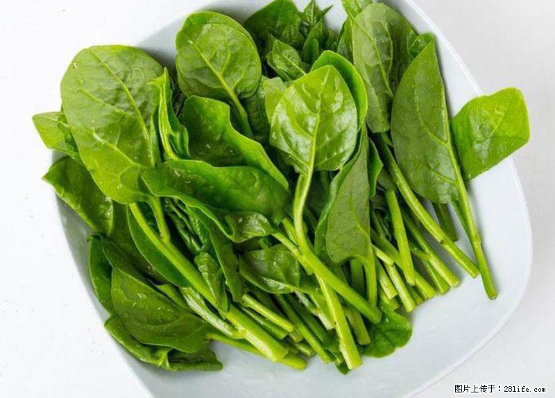 这些蔬菜是“天然钙片”，这6种被医生重点推荐 - 连云港生活资讯 - 连云港28生活网 lyg.28life.net