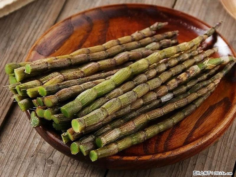 铁皮石斛的作用与功能主治 - 连云港生活资讯 - 连云港28生活网 lyg.28life.net