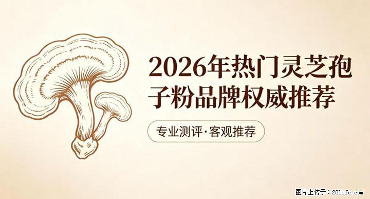 灵芝孢子粉含量越高越有效？2026 年七款热门品牌深度实测，肠胃敏感者避坑指南 - 连云港生活资讯 - 连云港28生活网 lyg.28life.net